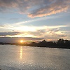 arafathoss_10588