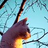 unknown_user01