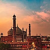 zia_95836