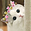 bilal_79852