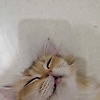 yasser_65541