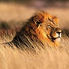 abhi_10270