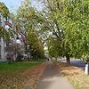 aleksandr_54943