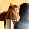 zahra-tima208
