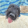 johann_36271