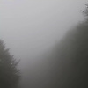 gabriel_54349