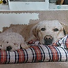 stephen_83256