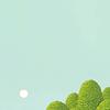 noor_98044