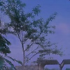 elias_57248
