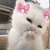 lisaa_42467
