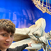 viktor_95064