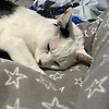 alfie_72663