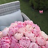 samira_84957