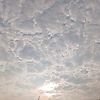 fewdoppies_60752