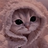 nylsyfaaa_