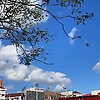 fan_80625
