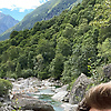 szabogbarna