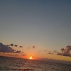 seda_78691