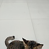 Eka_sulis000