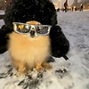 david_53836