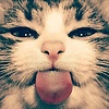 biancca_okk