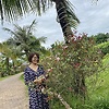 ladyvn