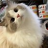 mita_86918
