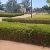 fatimaezza_36770