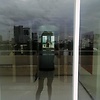 alica_49549