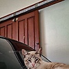 clara_30933