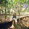 ainn_76116