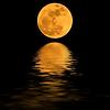 atilla_69102