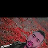 abid_43366