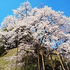 makih2928