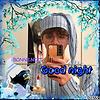 hibou_thsan