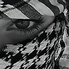 velan_81913