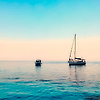 amirk_69448