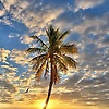 aisha_45993