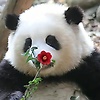 zhao_49534