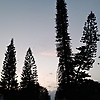 sky_77502