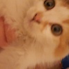 adam_99599