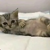 lolapalalala