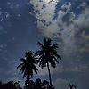 aritro_49186