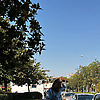 ann_67396