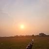 laras_23528