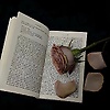 reem_23191