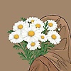 asmo_