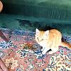 gkhan_57226