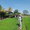 rini_60333