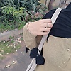 ayuka_48935